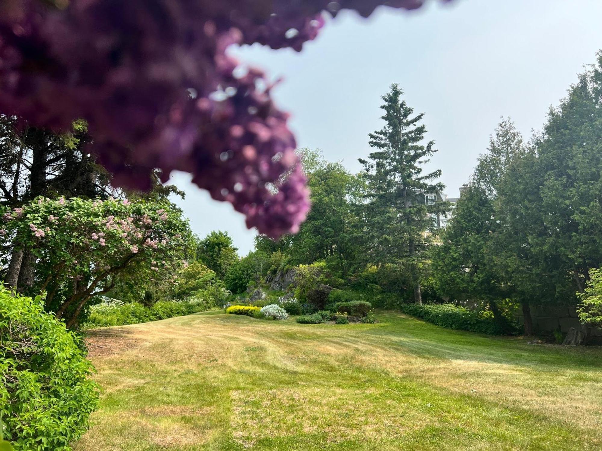 Maison Du Havre Petit Duplex Villa La Malbaie Eksteriør bilde